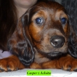 Casper z Ach�tu